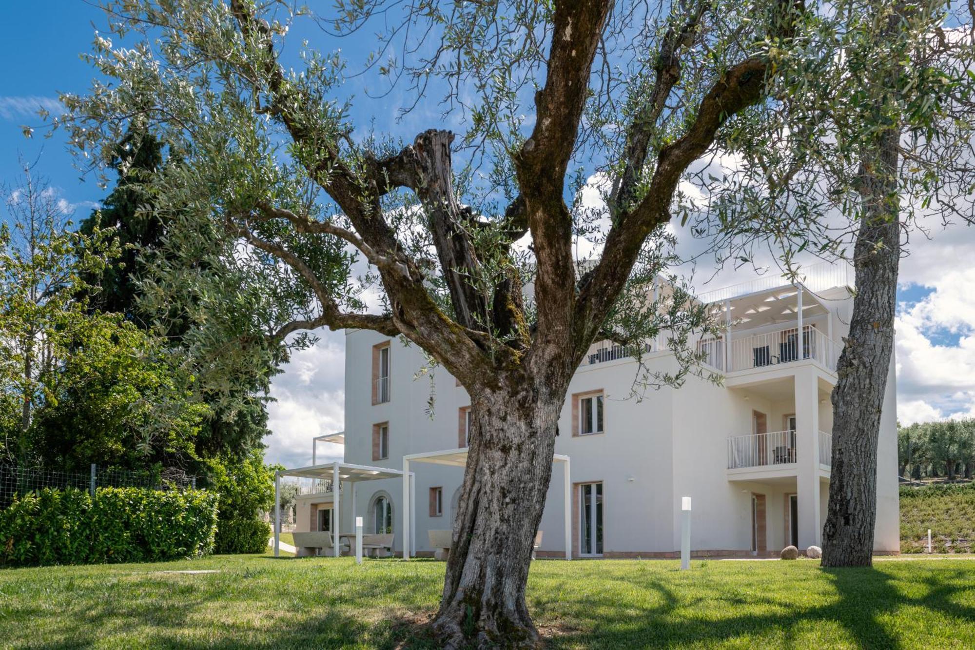 Le Masciare Aparthotel Paternopoli